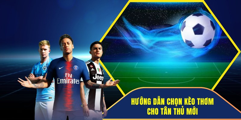 Hướng dẫn cách bắt kèo thơm dành cho hội viên mới